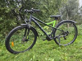 Bulls XC 29" MTB diskiniai stabdžiai dydis 51