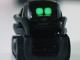 Ieškau / Pirkčiau: Anki / Ddl Vector robotą