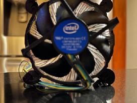 Intel aušintuvas
