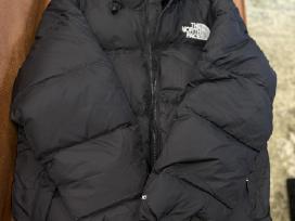 The north face striukė