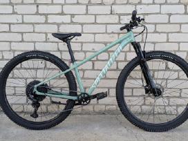 Specialized 29er, 1x12sp