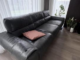 Odinė Itališka sofa - Chateau Dax iš Interio