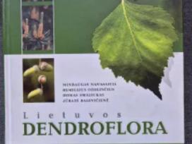 Lietuvos dendroflora