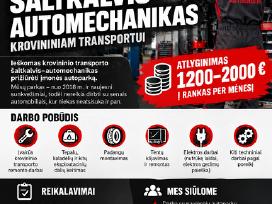 Ieškomas Šaltkalvis–automechanikas