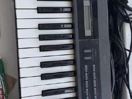 Roland Alpha Juno 1