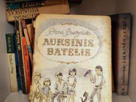 Skelbimo 'B. Buivydaitė - Auksinis raktelis' paveikslėlis