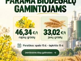 Es Paramos / Verslo Ir Investiciniai Projektai