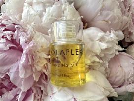 Skelbimo 'Olaplex No.7' paveikslėlis