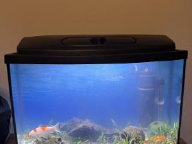 Dovanojame 60l akvariumą Vilniuje