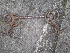 Žąslai žirgams valdyti