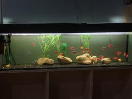 Parduodu akvariuma 135litr.
