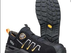 Jalas Exalter. 41d