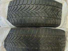 Žieminės padangos 225/50 R17 Goodyear