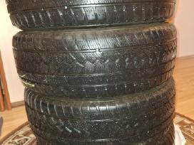 205/60 R16 ziemines