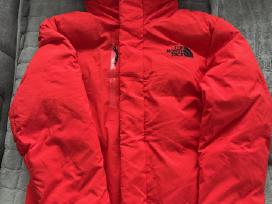Skelbimo 'The North face striukė' paveikslėlis
