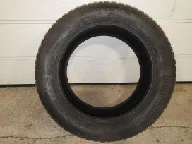 Continental Ts 870 205/55 R16
