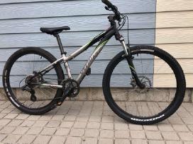 Puikus Specialized dviratis 26
