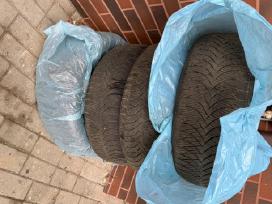 225/50 R17 Padangos
