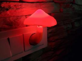 Skelbimo 'LED lempa grybas' paveikslėlis