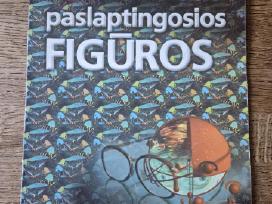 3D Magija. Paslaptingosios figūros (Stereogramos)