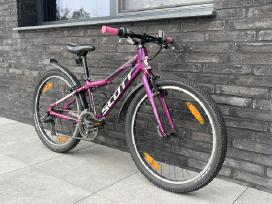 Scott contessa 24"