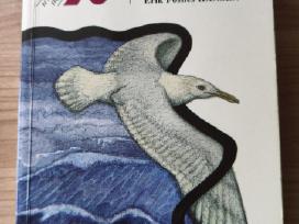 Skelbimo 'Erik Fosnes Hansen "Psalmė kelionės pabaigoje"' paveikslėlis