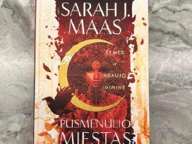 Skelbimo 'Žemės ir kraujo giminė. Ciklo „Pusmėnulio miestas“' paveikslėlis
