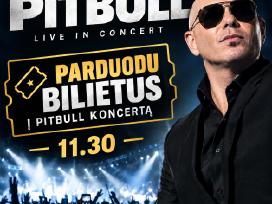 Fanų zona! Pitbull koncertas
