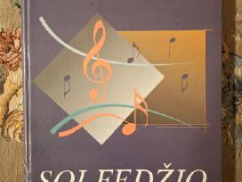 Solfedžio 2013m