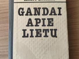 Skelbimo 'Andrė Brinkas "Gandai apie lietų"' paveikslėlis