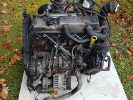 Ford focus variklis