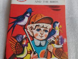 Kastantas and the birds