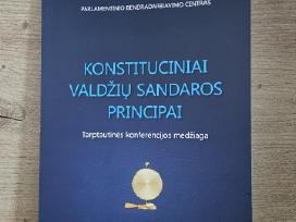 Konstituciniai valdžių sandaros principai