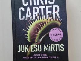 Skelbimo 'Juk esu Mirtis' paveikslėlis