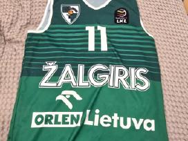 Skelbimo 'Kauno Žalgirio krepšinio marškinėliai Nr. 11' paveikslėlis