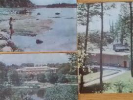 Druskinikai Biuveto vitražai 1969 m. Mintis