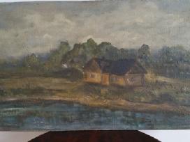 Žvėryno "Van Gogho" paveikslai