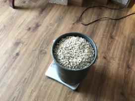 Gruntas Virs 20kg, dekoracija - nuotraukos Nr. 3 | Skelbiu.lt Gruntas Virs 20kg, dekoracija - nuotraukos Nr. 3