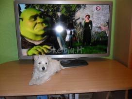 LCD ir LED televizoriai