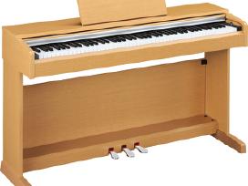 Klavišiniai muzikos instrumentai siuntimas visoje - nuotraukos Nr. 4 | Skelbiu.lt Klavišiniai muzikos instrumentai siuntimas visoje - nuotraukos Nr. 4