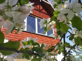Didelė erdvi sodyba svajonių sala jaunam ir senam | Skelbiu.lt Didelė erdvi sodyba svajonių sala jaunam ir senam