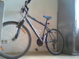 Dviratis Bulls MTB