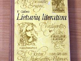 V.galinis "Lietuvių literatūra"