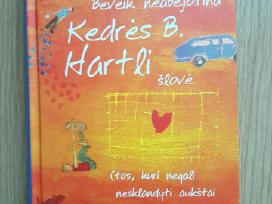 Serija Beveik suaugė, 10+