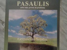 A.svijašas