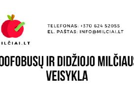 Zoofobusai, milčiaus lervos, bananiniai svirpliai