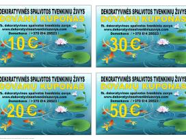 Žuvys, Mailius, Ižuvinimas, Pristatymas, Domeikava - nuotraukos Nr. 2 | Skelbiu.lt Žuvys, Mailius, Ižuvinimas, Pristatymas, Domeikava - nuotraukos Nr. 2