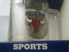 Chikago bulls