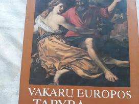 Vakaru Europos tapyba