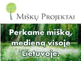 “Miškų projektai“ perka mišką gera kaina